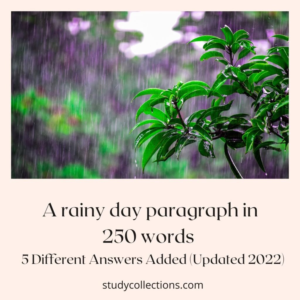 A rainy day paragraph in 250 words