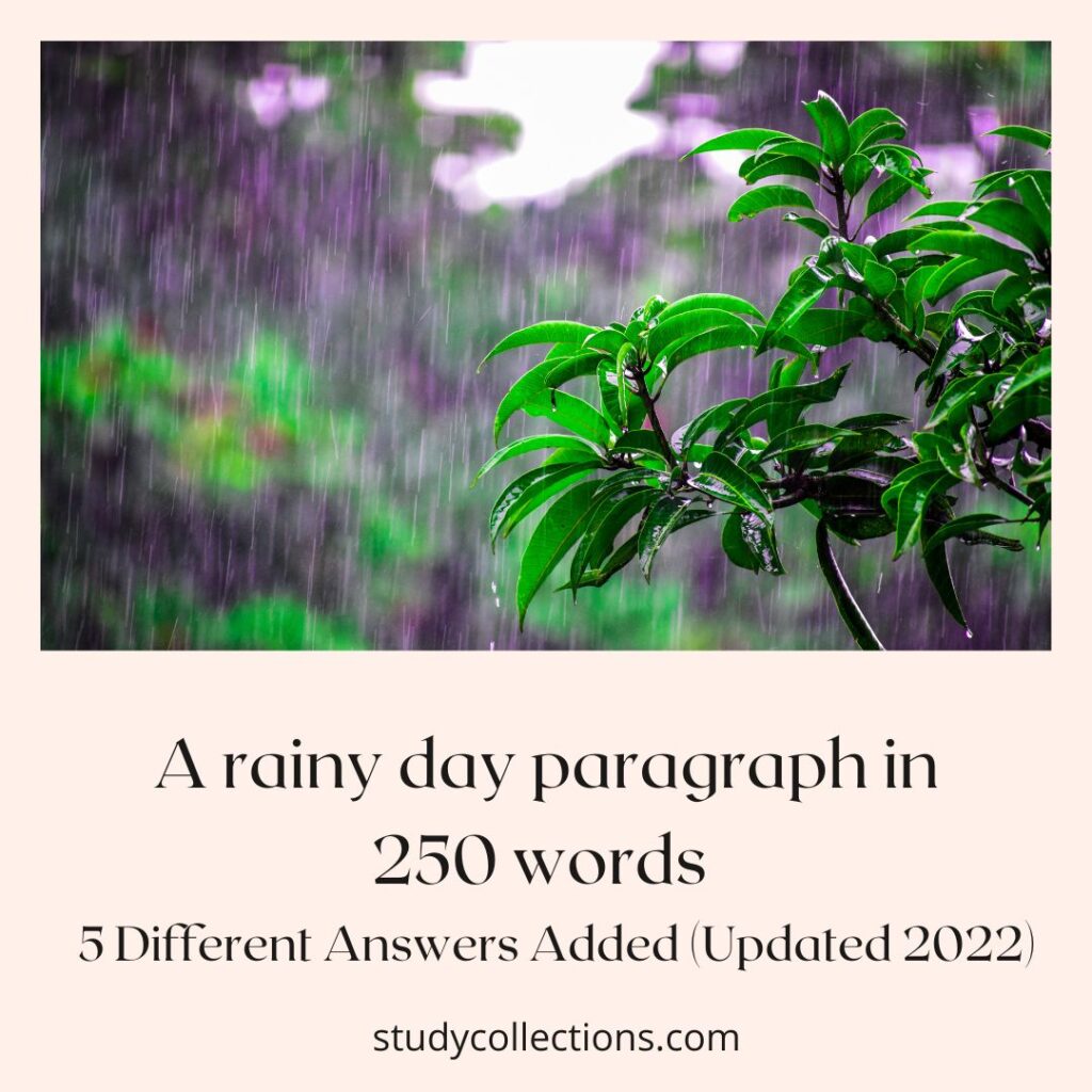 essay on a rainy day 250 words