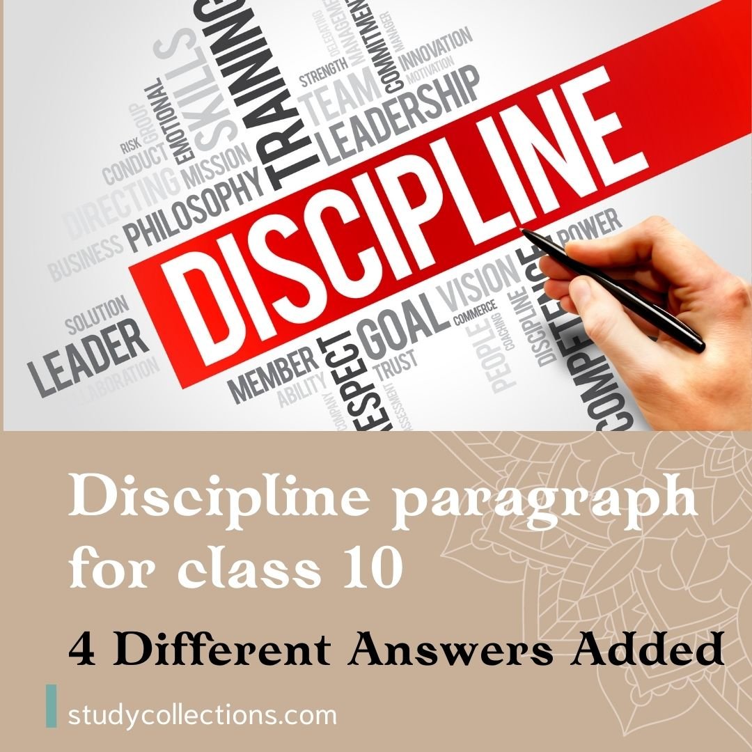 discipline essay for class 10 easy