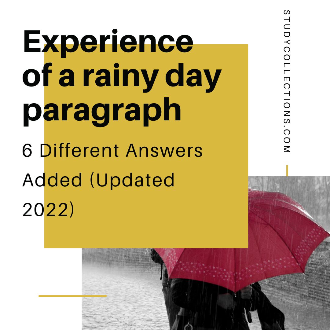 Rainy Day Experience